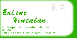 balint hintalan business card